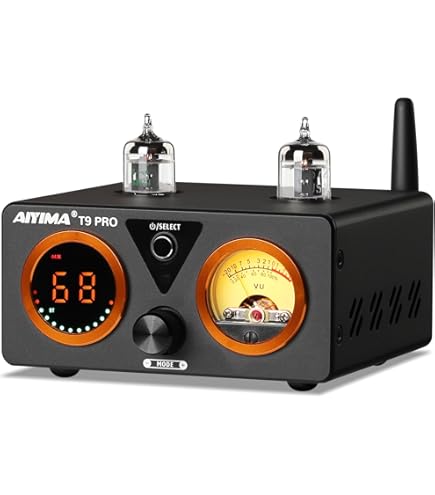 Amazon.com: AIYIMA T9 Bluetooth 5.0 100W Vacuum USB DAC Stereo